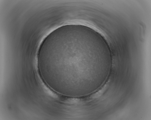 X0000111481517200907141207