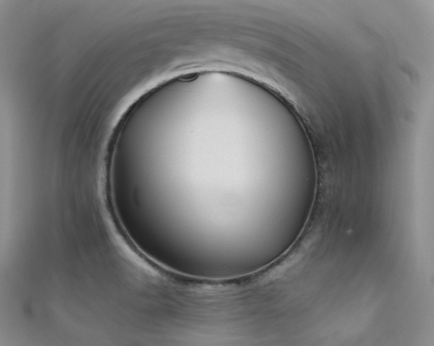 X0000111481518200907141207