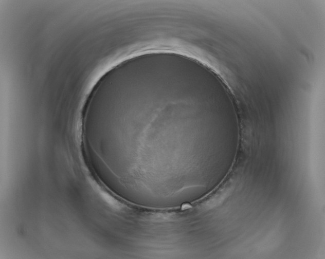 X0000111481519200907141207
