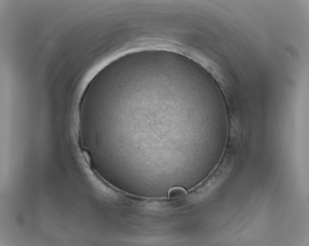 X0000111481520200907141207