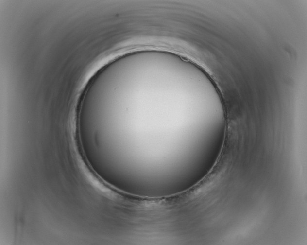 X0000111481523200907141207