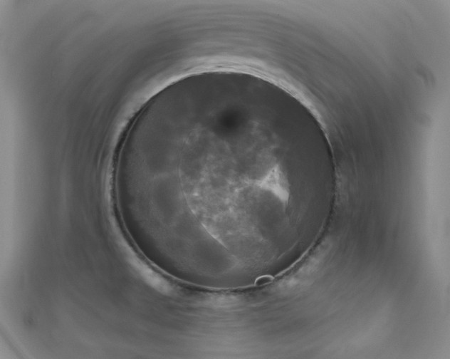 X0000111481525200907141207