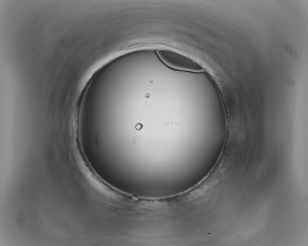X0000111481526200907141207