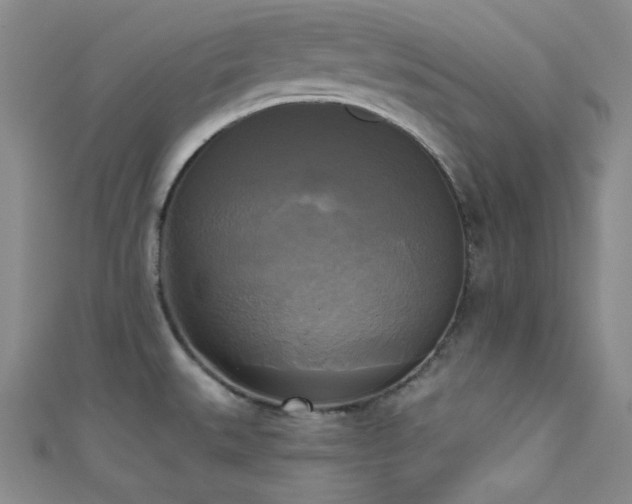 X0000111481527200907141207