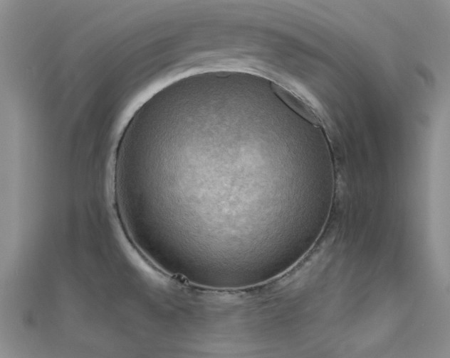 X0000111481528200907141207