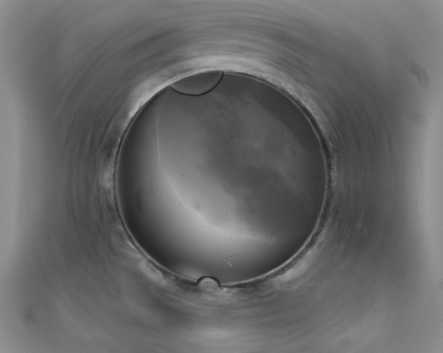 X0000111481529200907141207