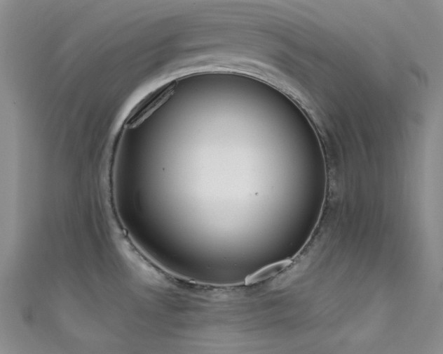 X0000111481530200907141207