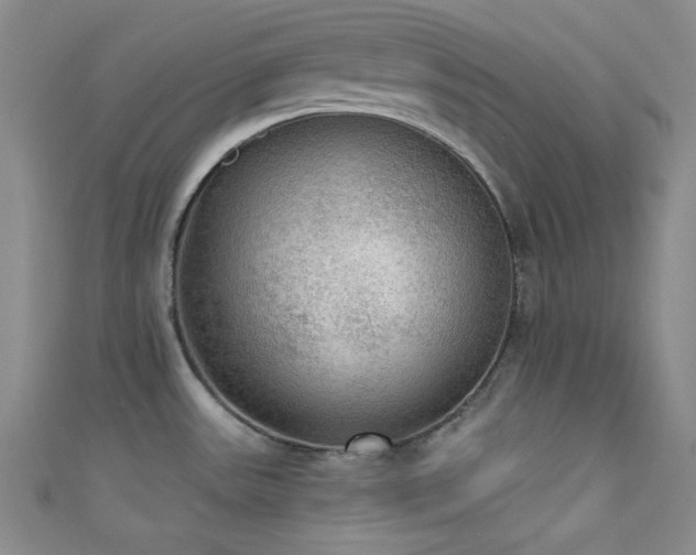 X0000111481531200907141207