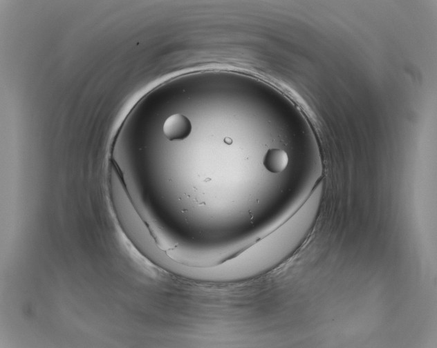 X0000111481532200907141207