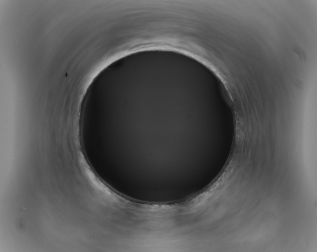 X0000111481534200907141207