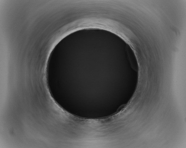 X0000111481536200907141207