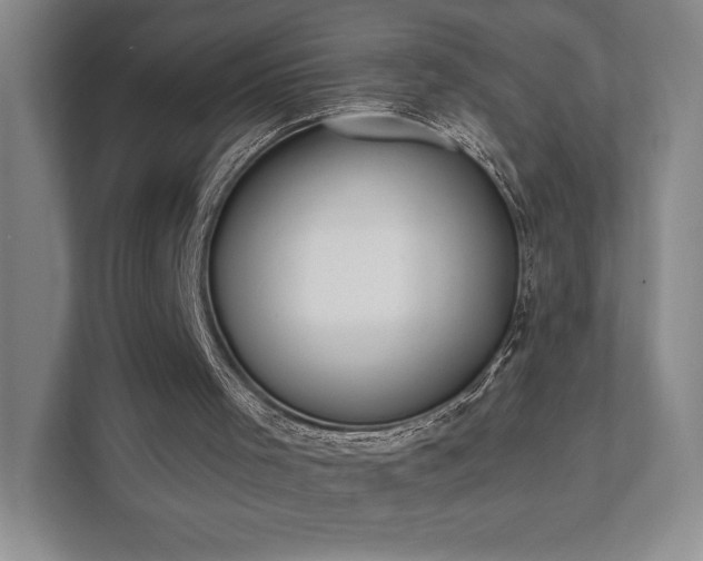 X0000111480001200907210958