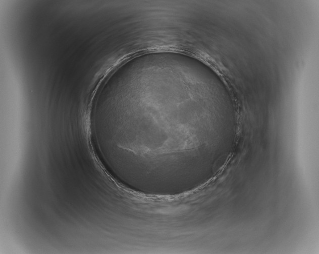 X0000111480002200907210958