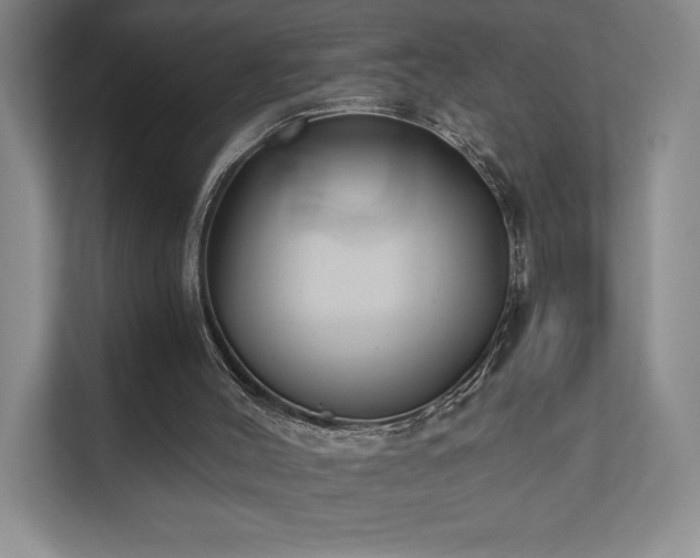 X0000111480004200907210958