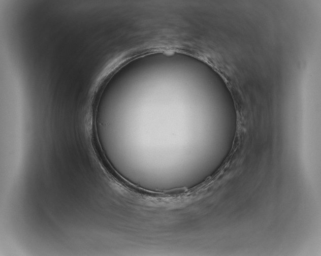 X0000111480005200907210958