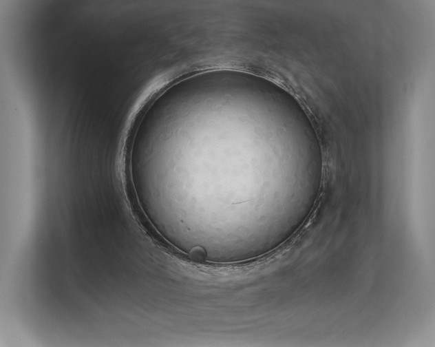 X0000111480006200907210958
