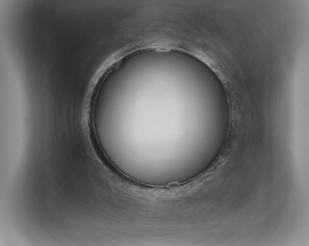 X0000111480007200907210958