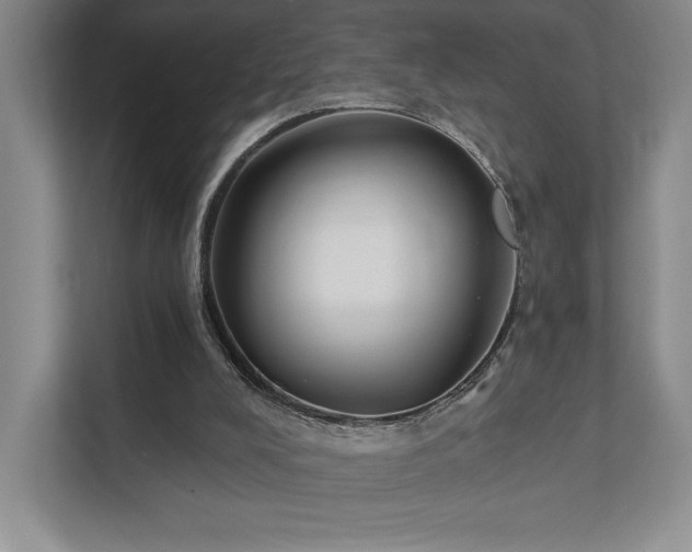 X0000111480008200907210958