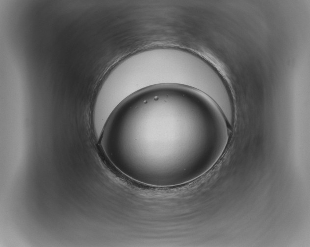 X0000111480009200907210958