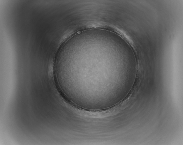 X0000111480010200907210958