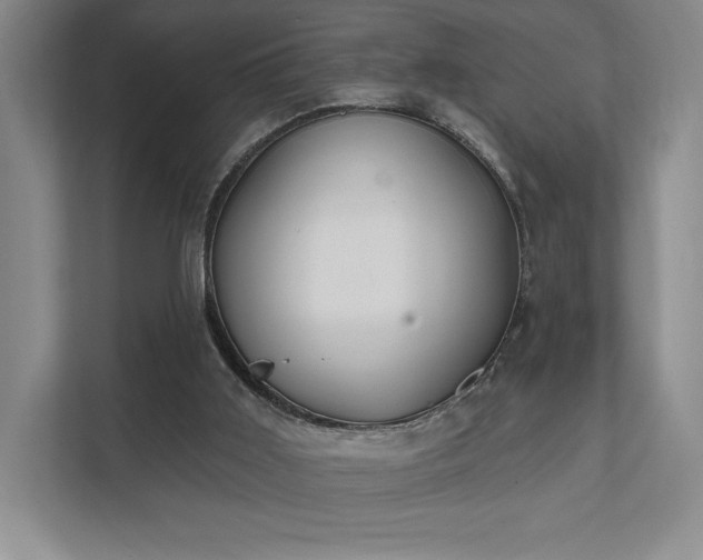 X0000111480011200907210958