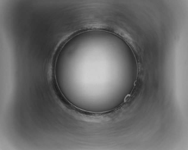 X0000111480012200907210958
