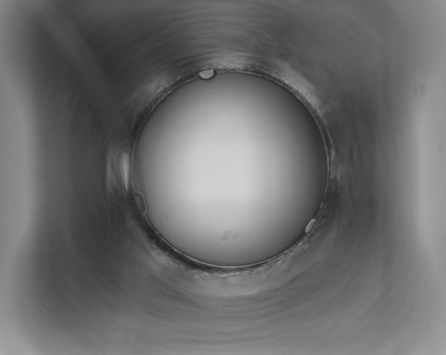 X0000111480013200907210958