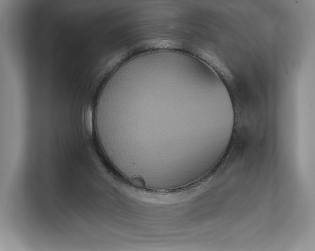 X0000111480014200907210958
