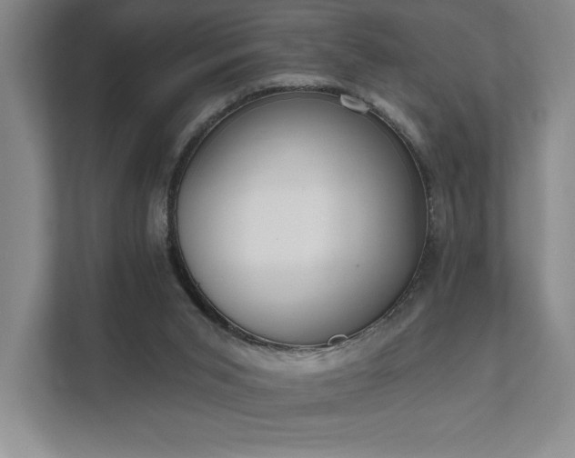 X0000111480015200907210958