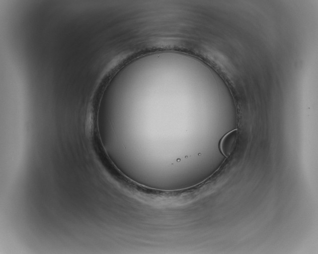 X0000111480016200907210958