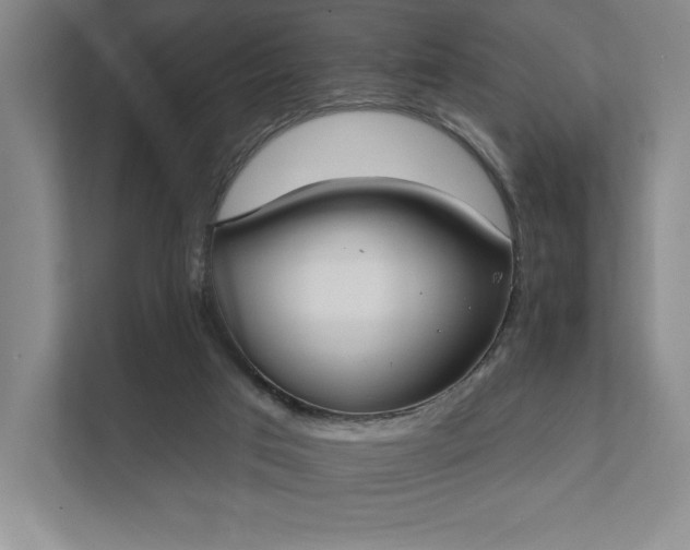 X0000111480017200907210958