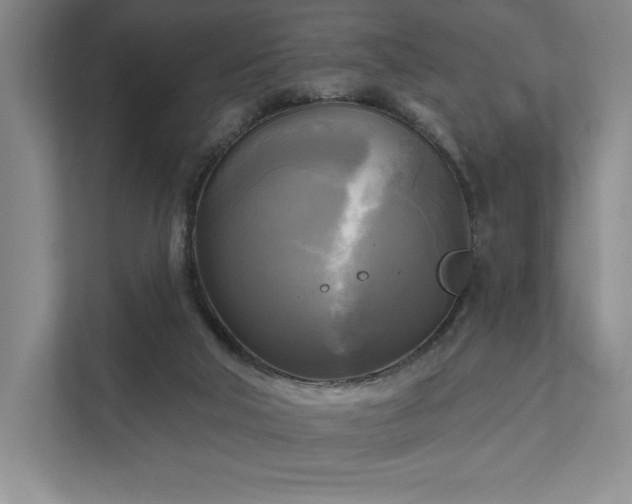 X0000111480018200907210958