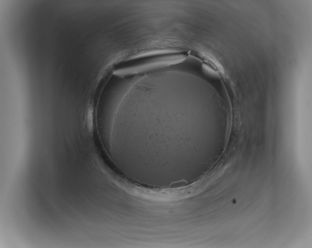 X0000111480019200907210958