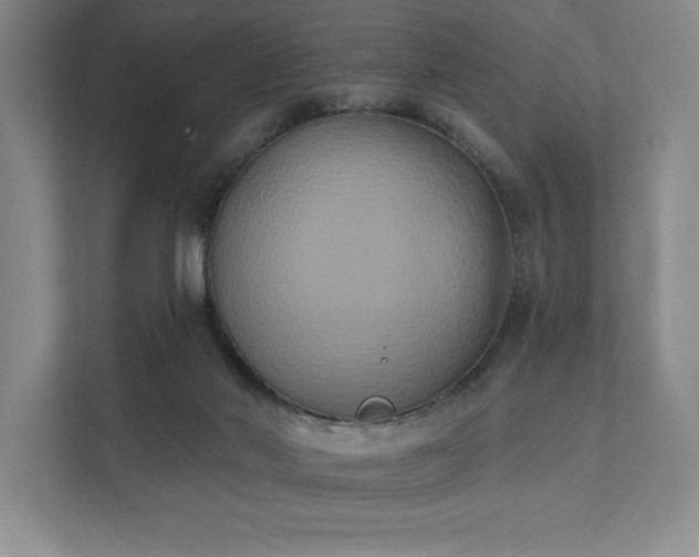 X0000111480022200907210958
