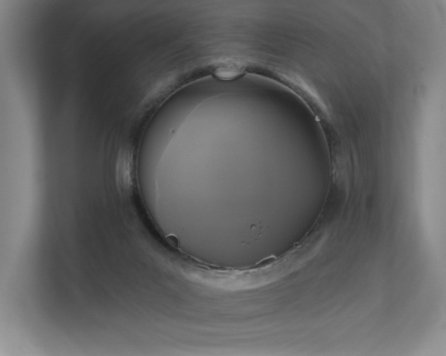 X0000111480023200907210958