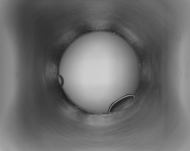 X0000111480025200907210958