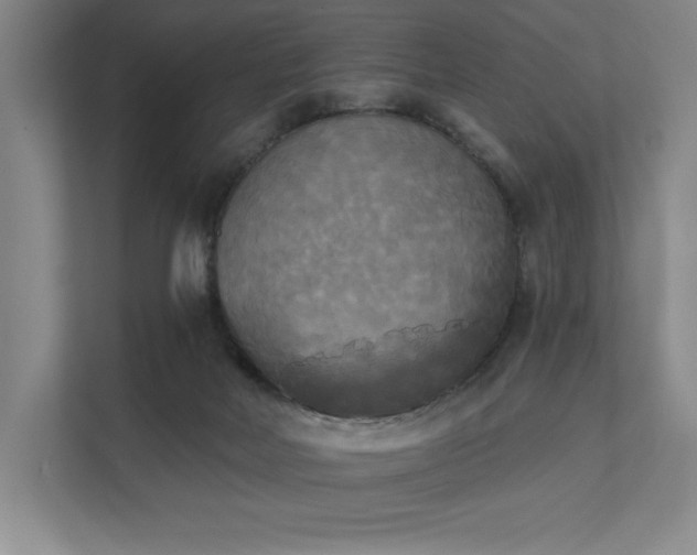 X0000111480026200907210958