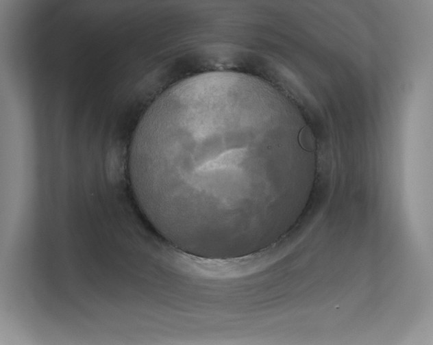 X0000111480030200907210957