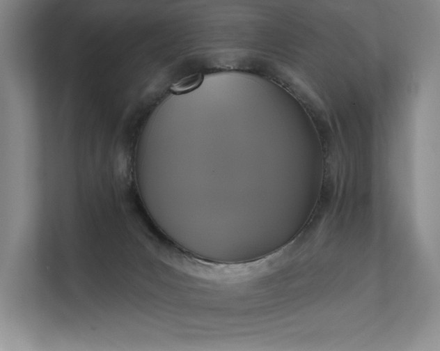 X0000111480031200907210957