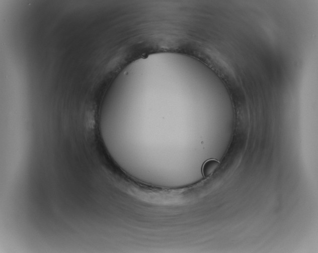 X0000111480032200907210957