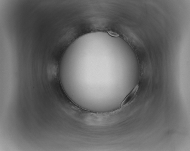 X0000111480033200907210957
