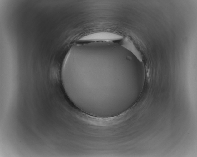 X0000111480035200907210957
