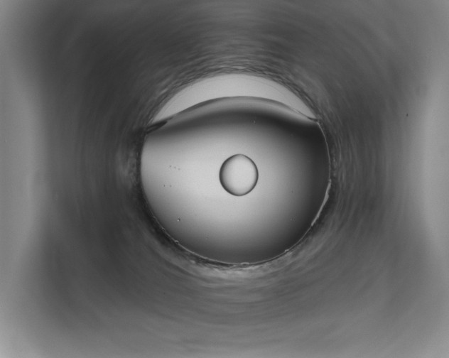 X0000111480036200907210957