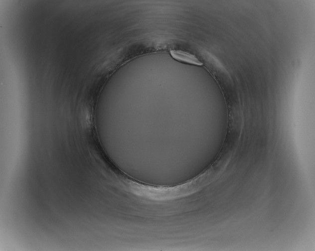 X0000111480039200907210957