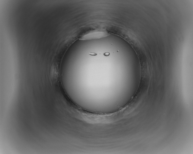 X0000111480040200907210957