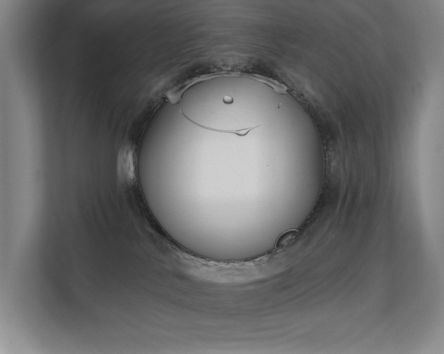 X0000111480042200907210957