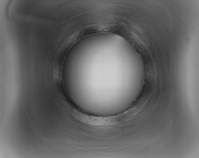 X0000111480044200907210957