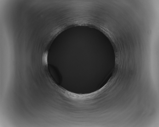 X0000111480047200907210957