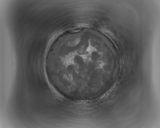 X0000111480049200907210957
