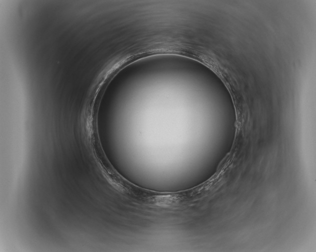 X0000111480050200907210957